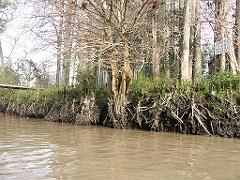 090815_Parana_Delta 008